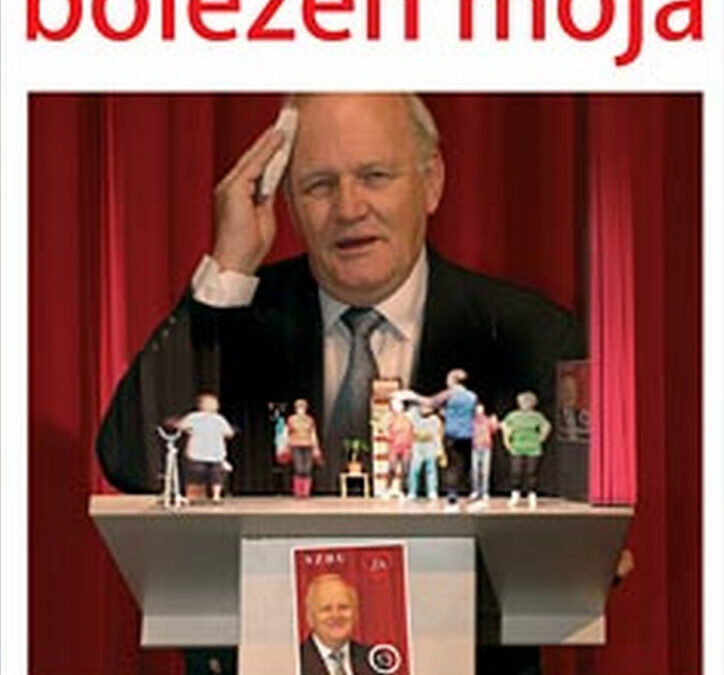 Tone Partljič: Politika, bolezen moja